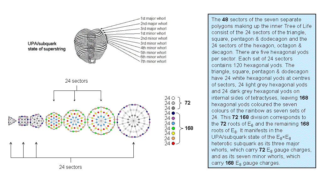 10 sets of 24 hexagonal yods in 7 separate polygons