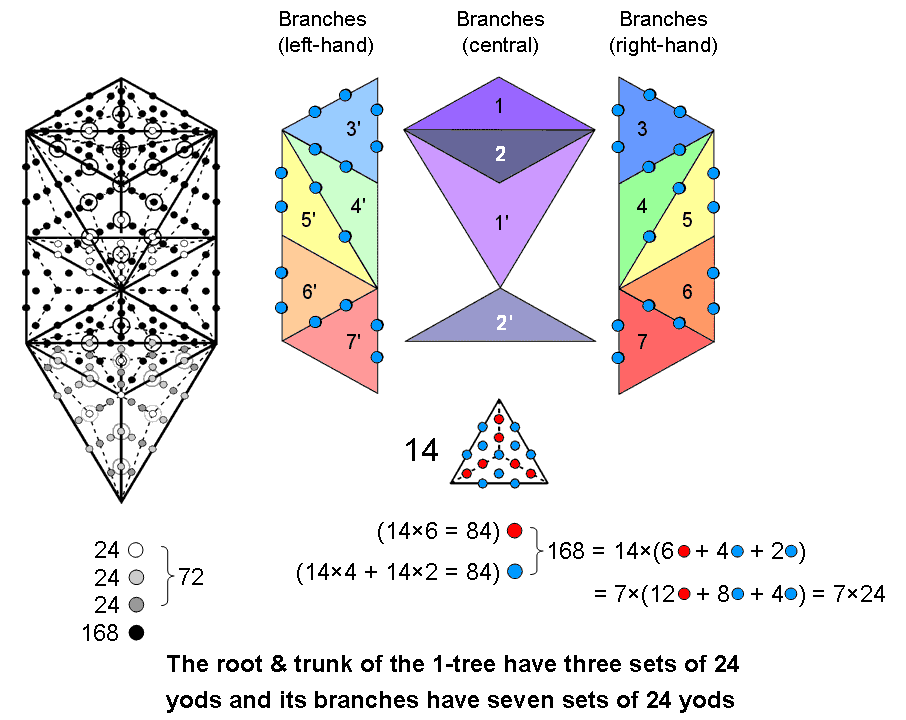 10 sets of 24 yods in 1-tree