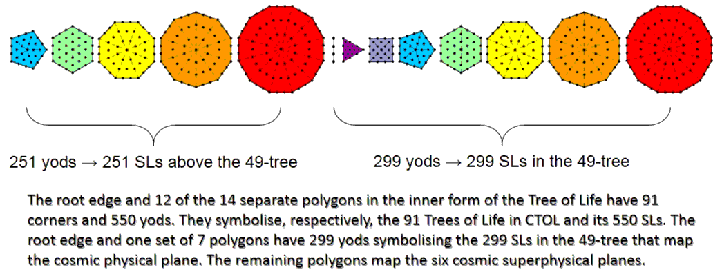 12 polygons and root edge contain 550 yods