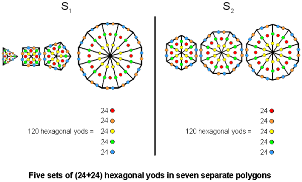 120 hexagonal yods in S1 and in S2