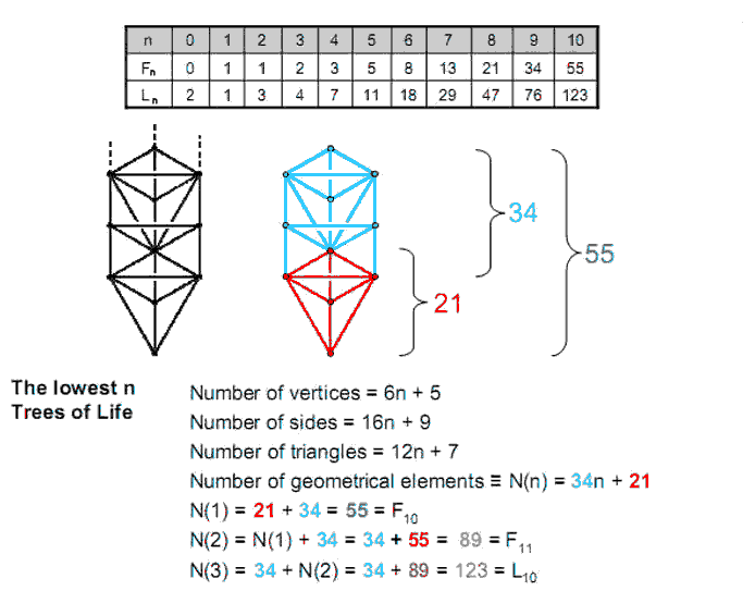 3-tree has 123 geometrical elements