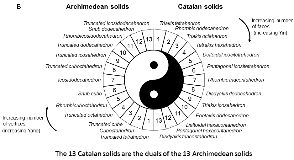 13 Archimedean & 13 Catalan solids