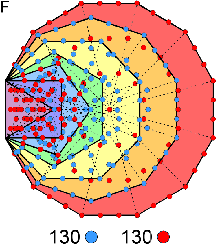 130+130 yods outside root edge in 2 halves of 7 enfolded polygons