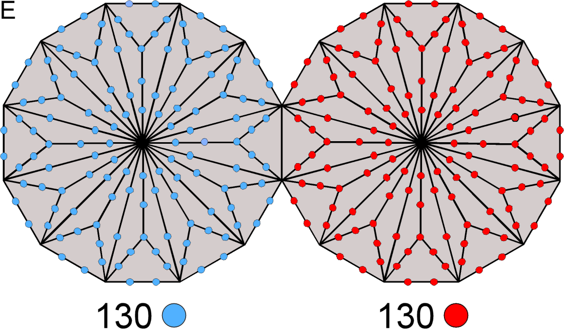 130=130 yods line tetractyses in 2 joined Type B dodecagons