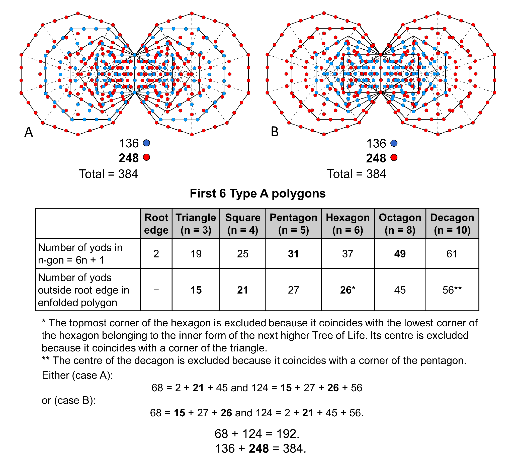 136+248 yods in first (6+6) polygons