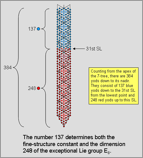 Fine-structure number 137 determines the dimension 248 of E8