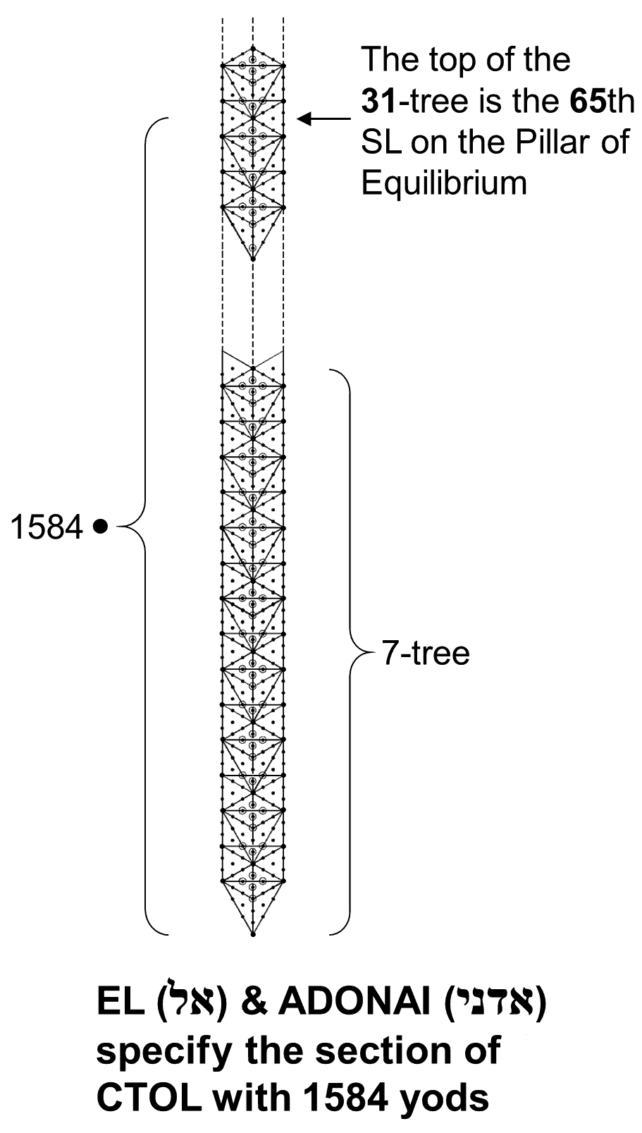 1584 yods up to level of top of 31-tree