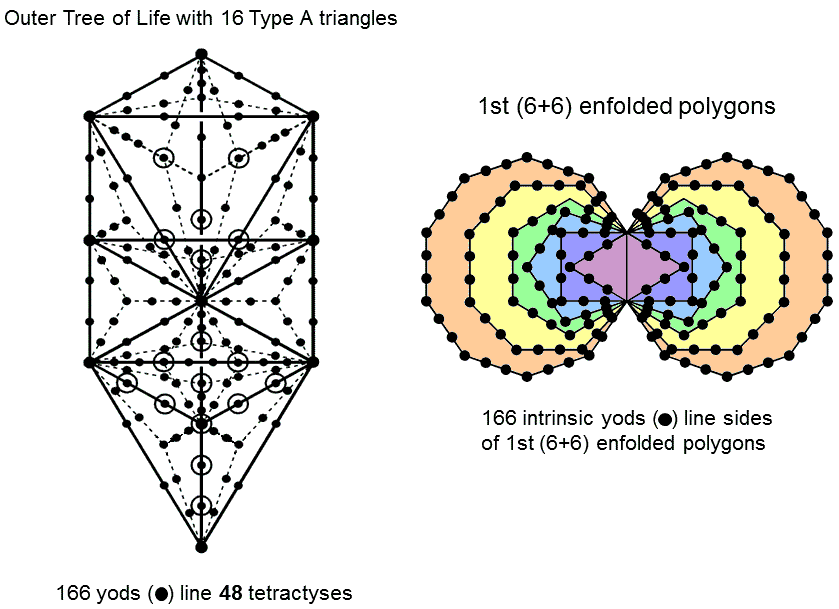166 yods line tetractyses in Tree of Life and sides of 1st (6+6) enfolded polygons outside root edge