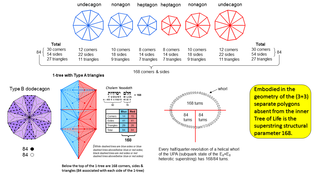 168 corners & sides in (3+3) separate Type B polygons