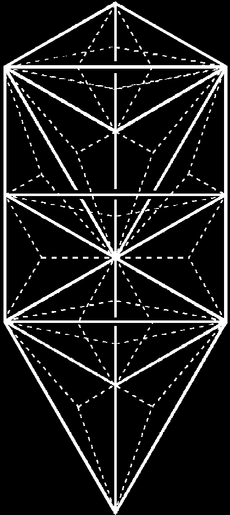 168 geometrical elements below top of 1-tree