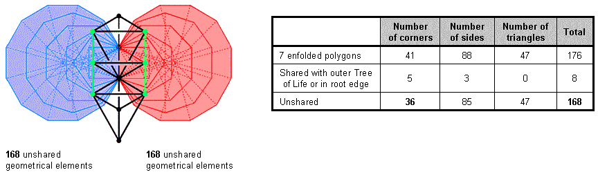 (168+168=336) geometrical elements outside root edge intrinsic to inner Tree of Life