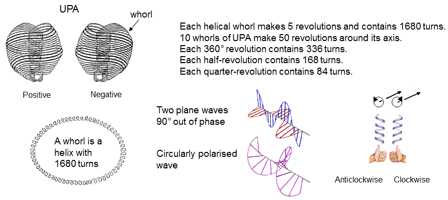 1680 circularly polarised waves in a whorl