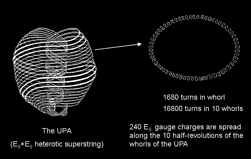 Each helical whorl of UPA has 1680 turns