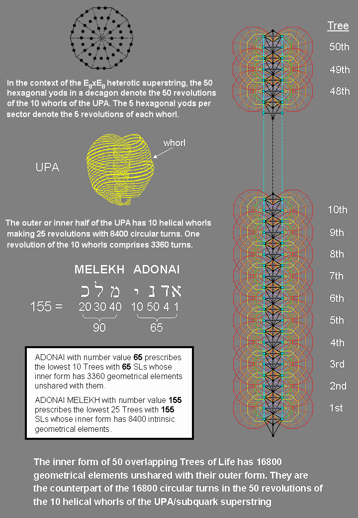 Inner form of 50 Trees has 16800 intrinsic geometrical elements