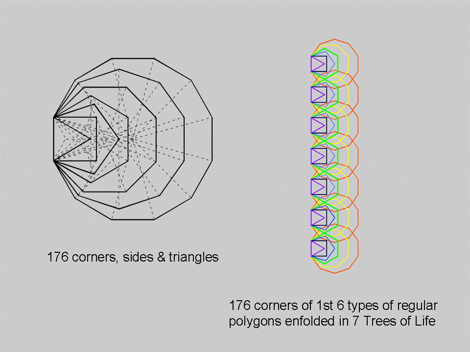 176 embodied in inner Tree of Life