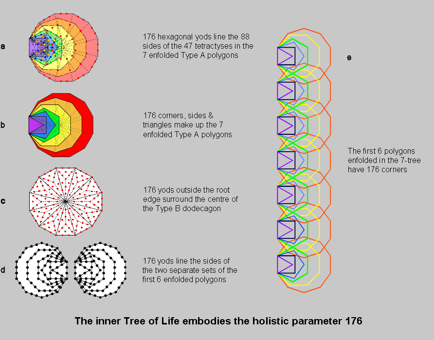 The inner Tree of Life embodies the superstring structural parameter 176