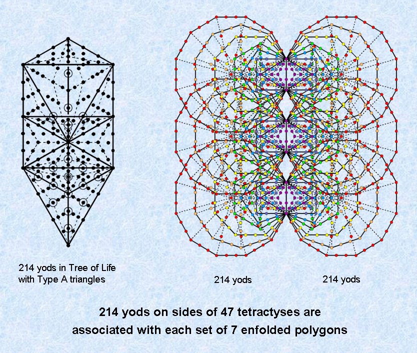214 yods in outer Tree and lining tetractyses associated with 7 polygons enfolded in successive Trees