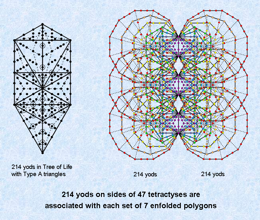 214 yods in outer Tree and in each set of 7 enfolded polygons