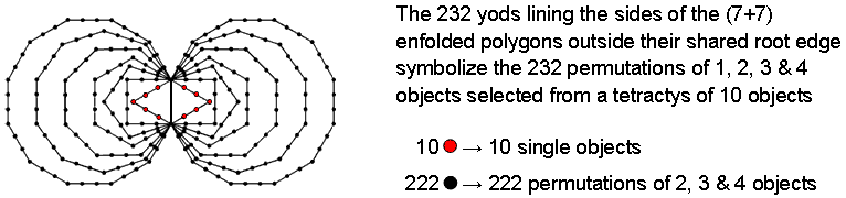 232 yods line (7+7) enfolded polygons