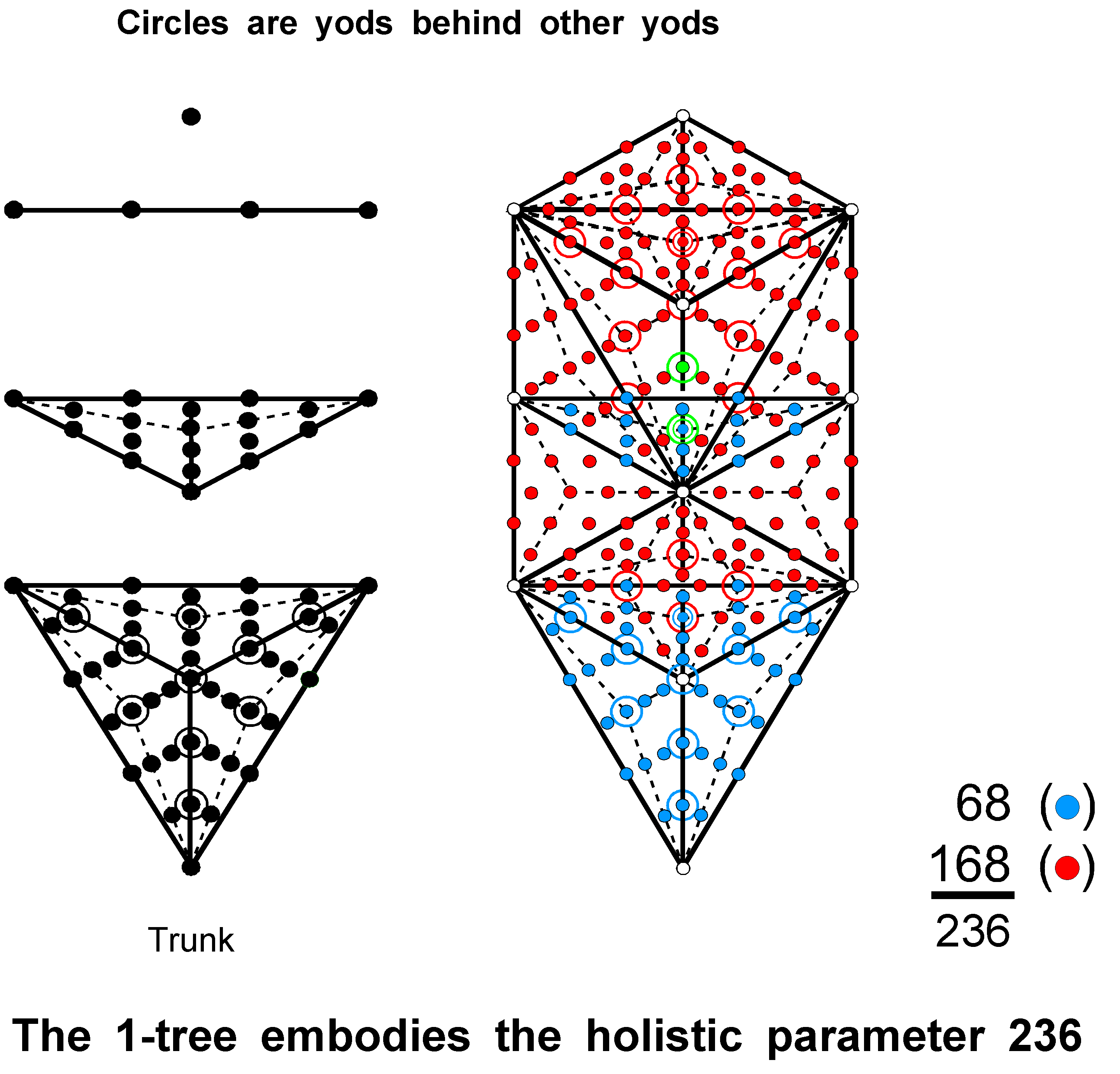 236 embodied in 1-tree