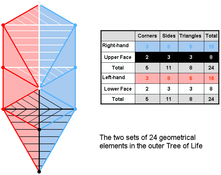 (24+24) geometrical elements in outer Tree of Life