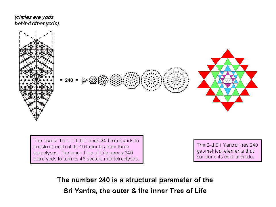 240 roots of E8 embodied in outer & inner Trees of Life & Sri Yantra