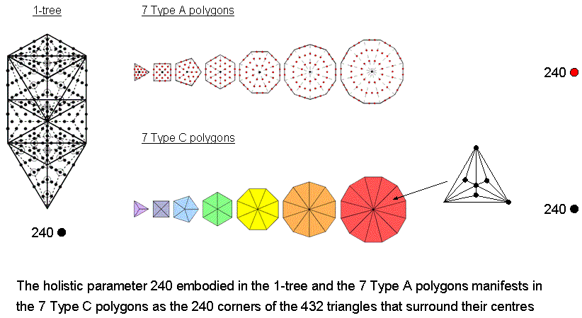 240 corners surround centres of 7 separate Type C polygons