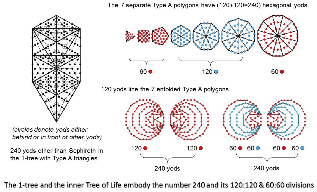 1-tree and inner Tree of Life embody number 240