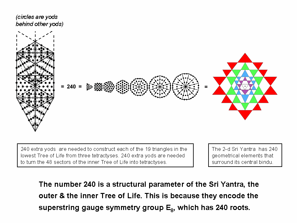240 encoded in outer & inner Tree of Life & Sri Yantra