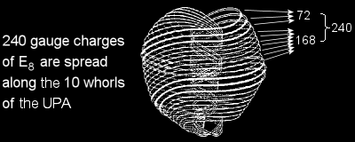 240 gauge charges of E8 spread along 10 whorls