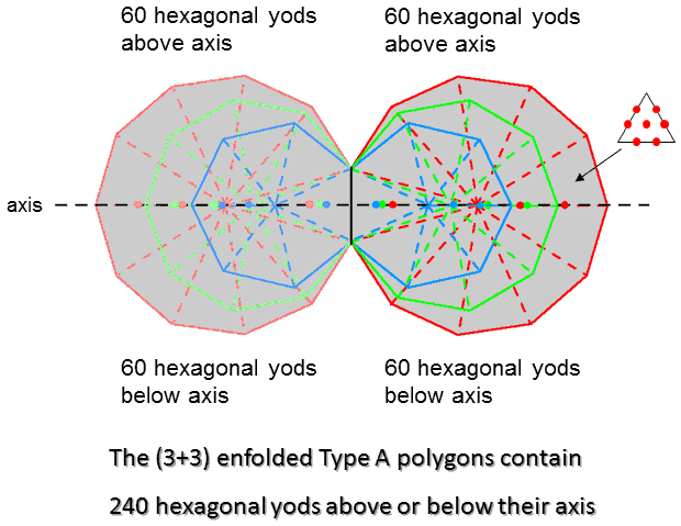 240 hexagonal yods lie above and below axis of (3+3) enfolded Type A polygons