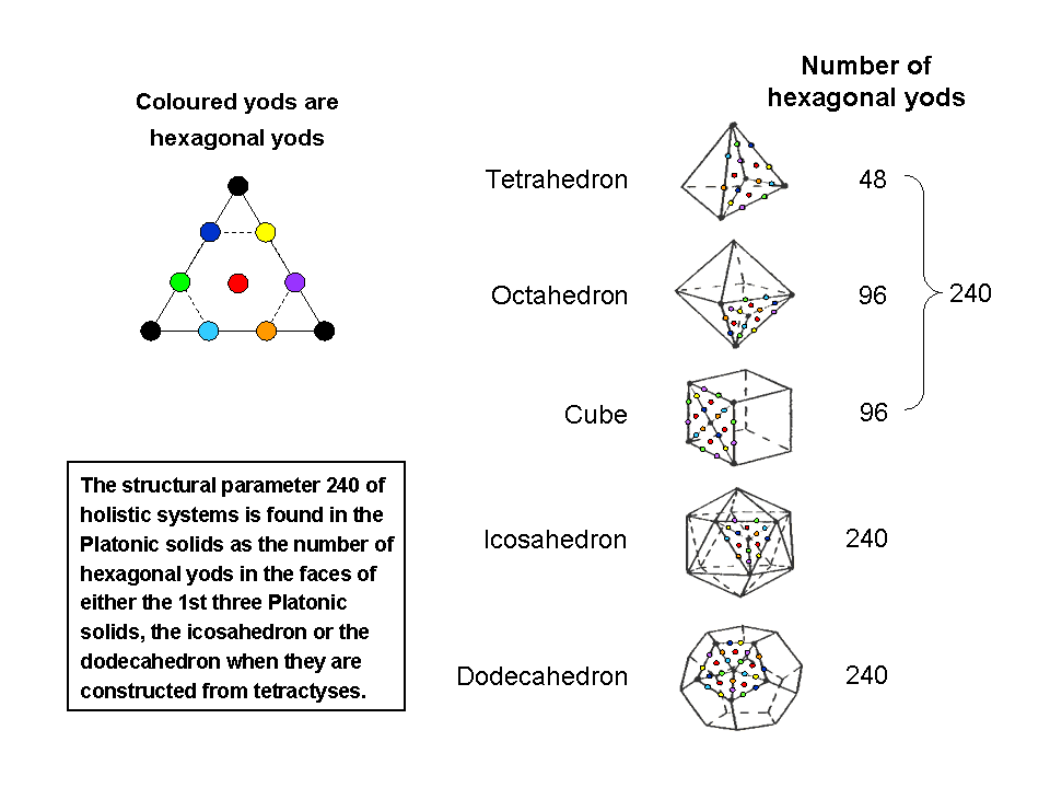 240 hexagonal yods in Platonic solids