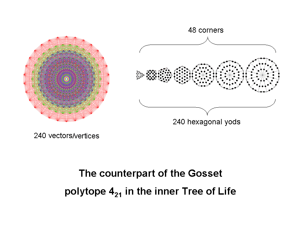 Counterpart of Gosset polytope 421 in inner Tree of Life