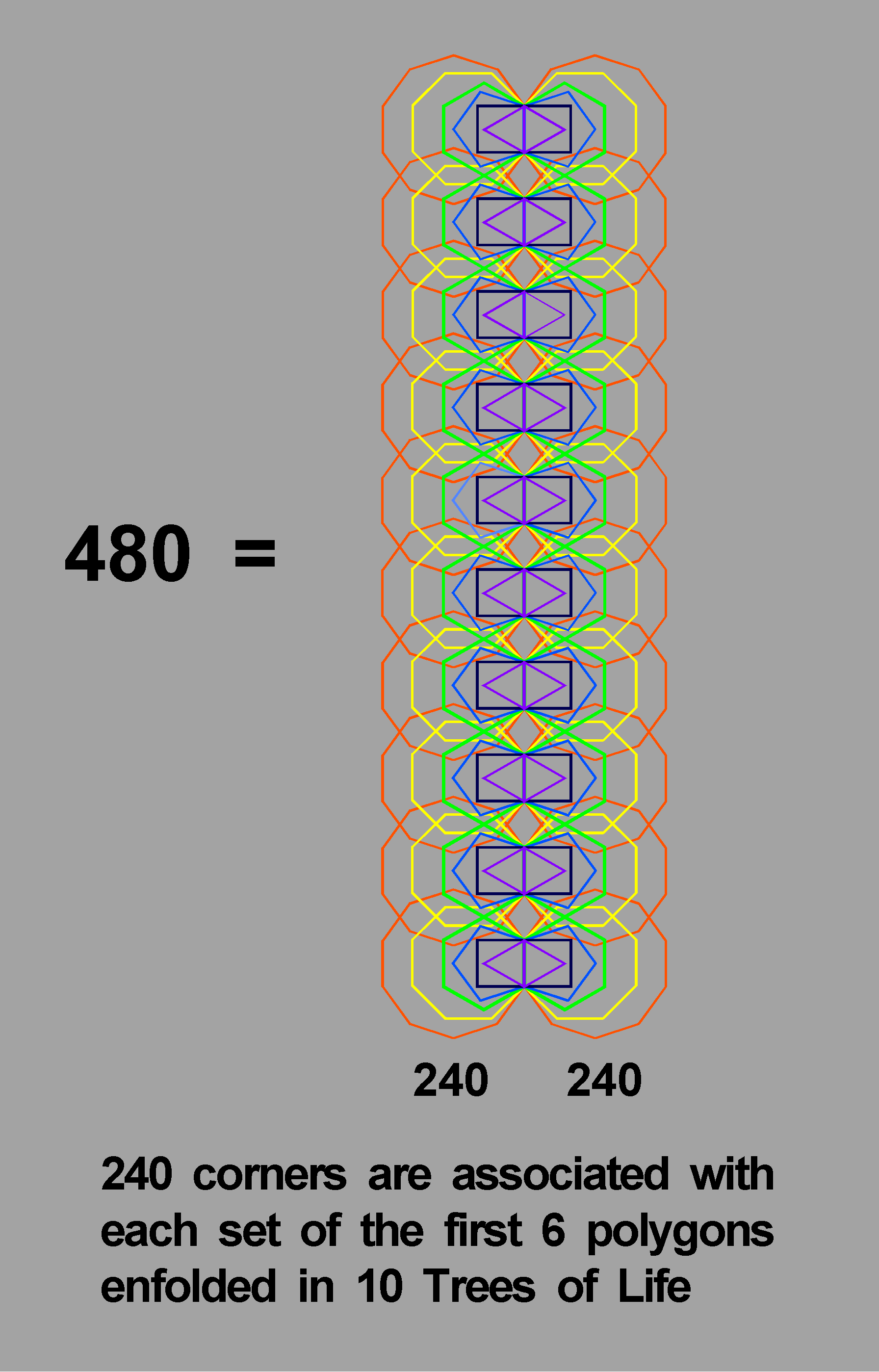 (240+240) corners of first (6+6) polygons in 10 Trees