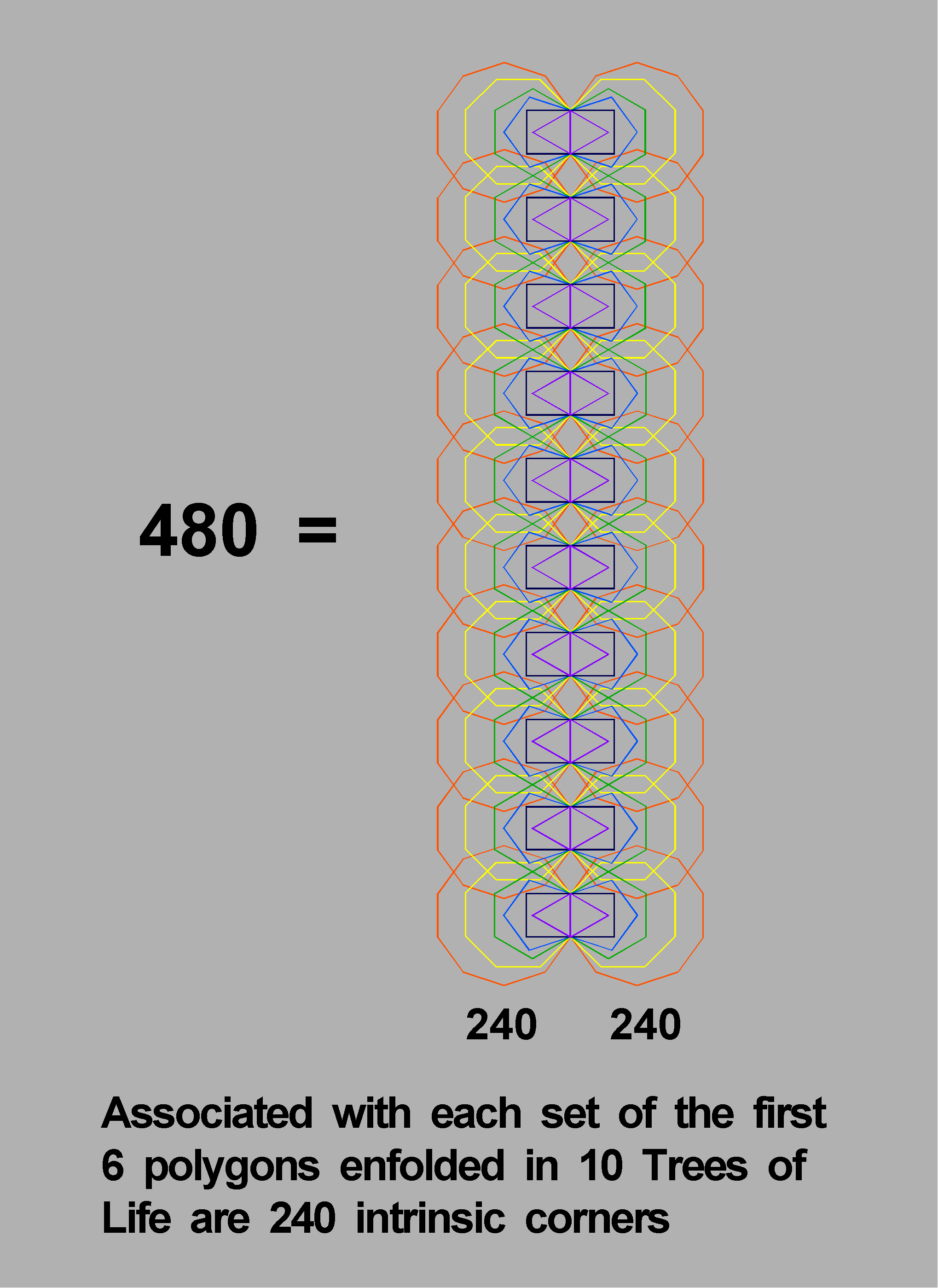 (240+240) corners of first (6+6) polygons enfolded in 10 Trees of Life