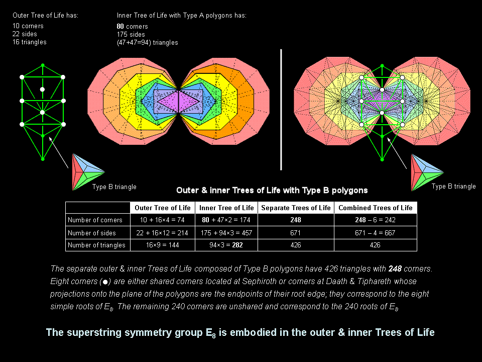 248 corners of Type B polygons in outer and inner Tree of Life