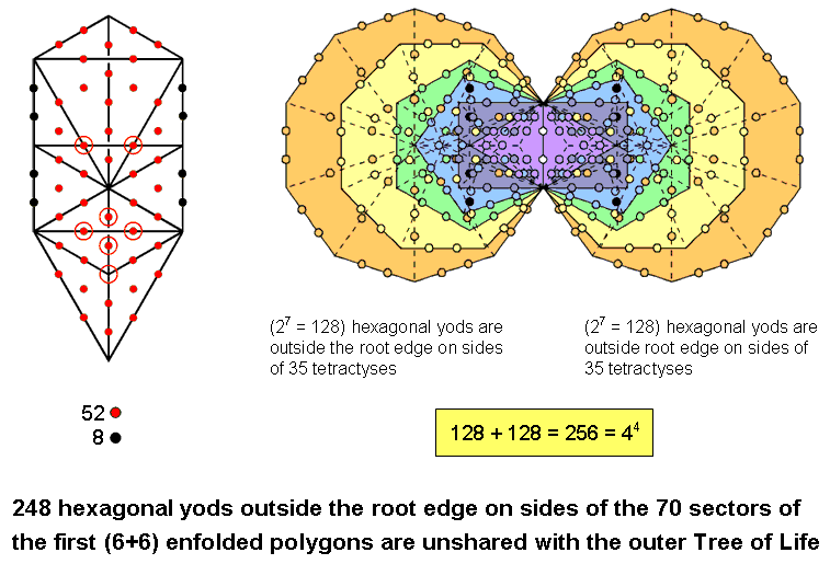 248 intrinsic hexagonal yods on sides of sectors of 1st (6+6) enfolded polygons