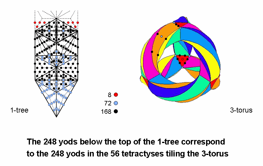 248 yods in 1-tree & tiled 3-torus