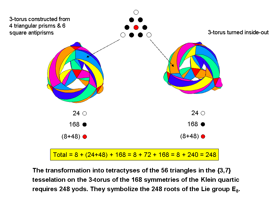 248 yods in 56 tetractyses of 3-torus