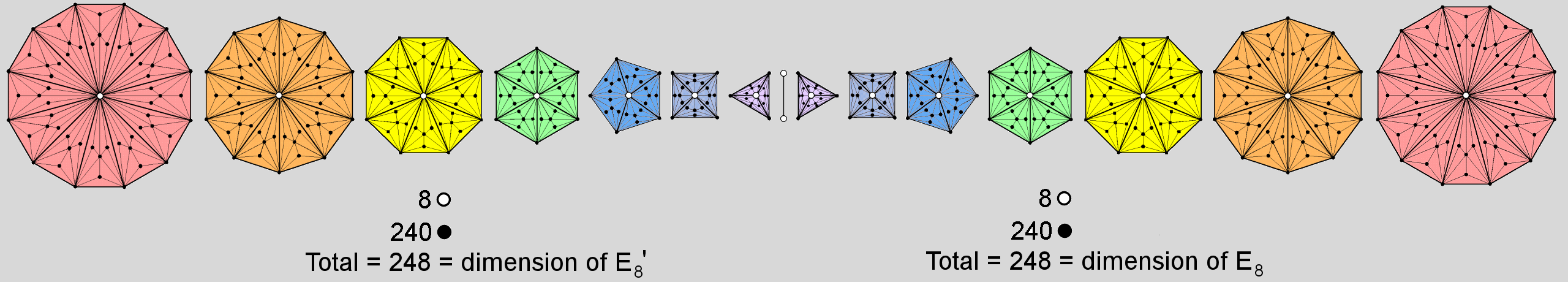 (248+248) corners in (7+7) Type C polygons separated by root edge