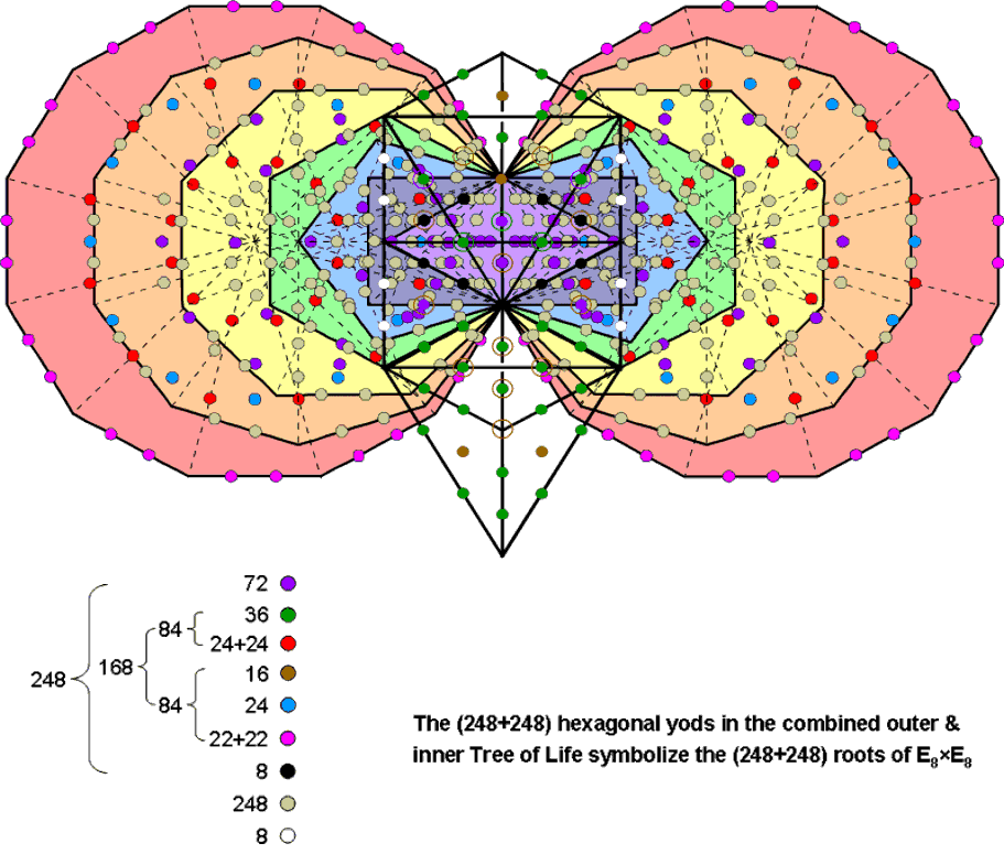 (248+248) hexagonal yods in outer & inner Trees of Life