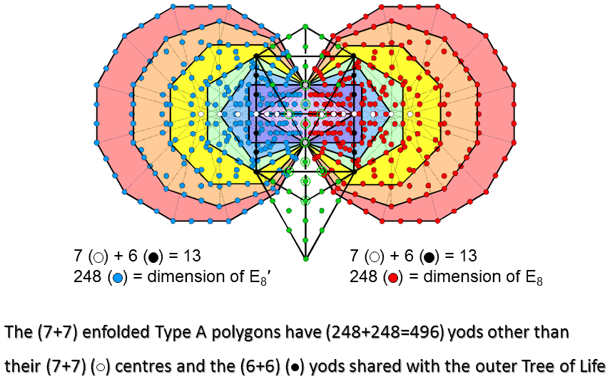 (248+248) intrinsic yods surrounding centres of (7+7) enfolded polygons