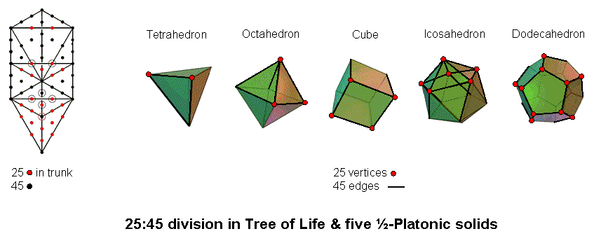 25:45 division in Tree of Life & 5 half-Platonic solids