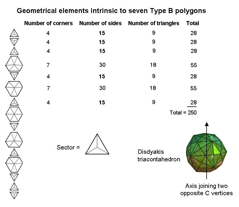 250 intrinsic geometrical elements in 7 polygons