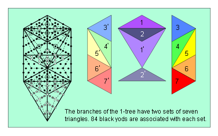 (7+7) triangles in branches of 1-tree have 168 yods