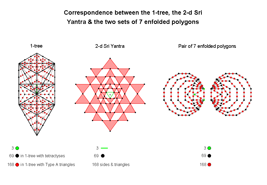 Correspondence between 1-tree, 2-d Sri Yantra & pair of 7 enfolded polygons