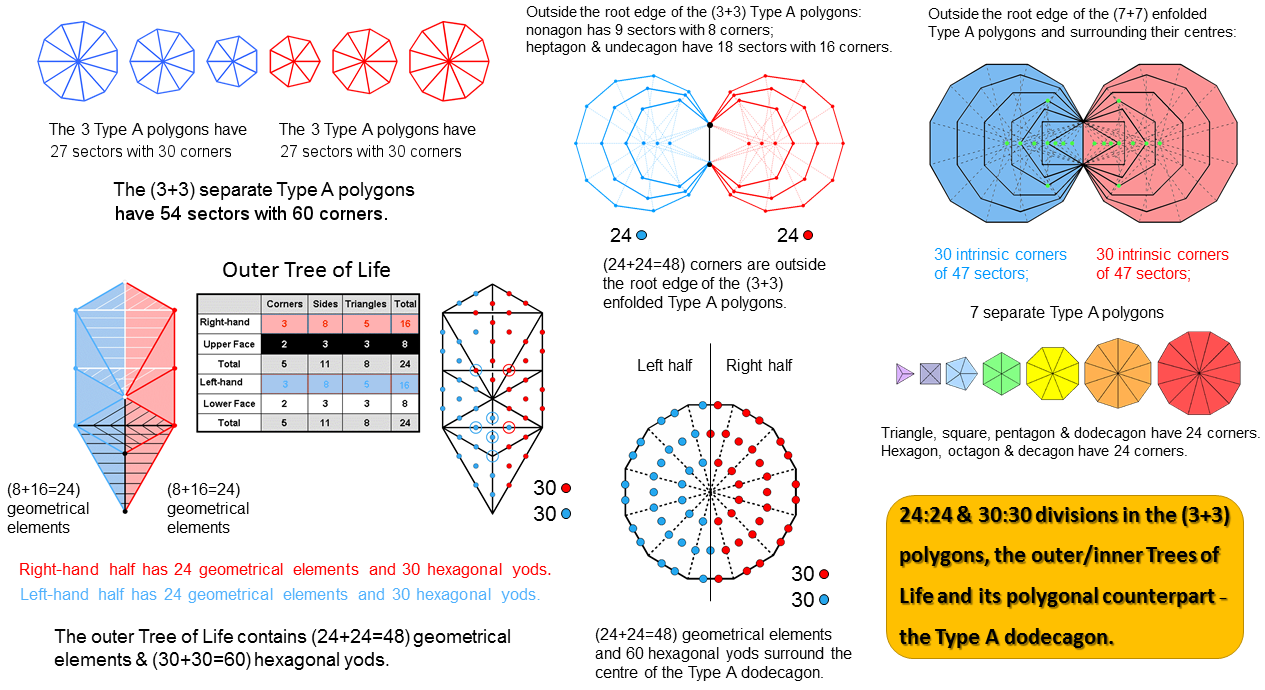 Analogous patterns in the (3+3) polygons, the Tree of Life & the dodecagon