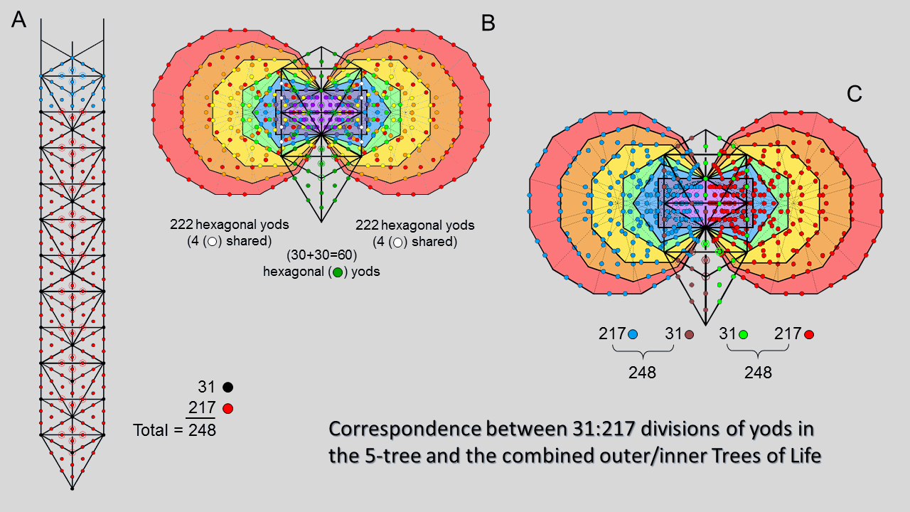 31-217 patterns in 5-tree and combined Trees of Life