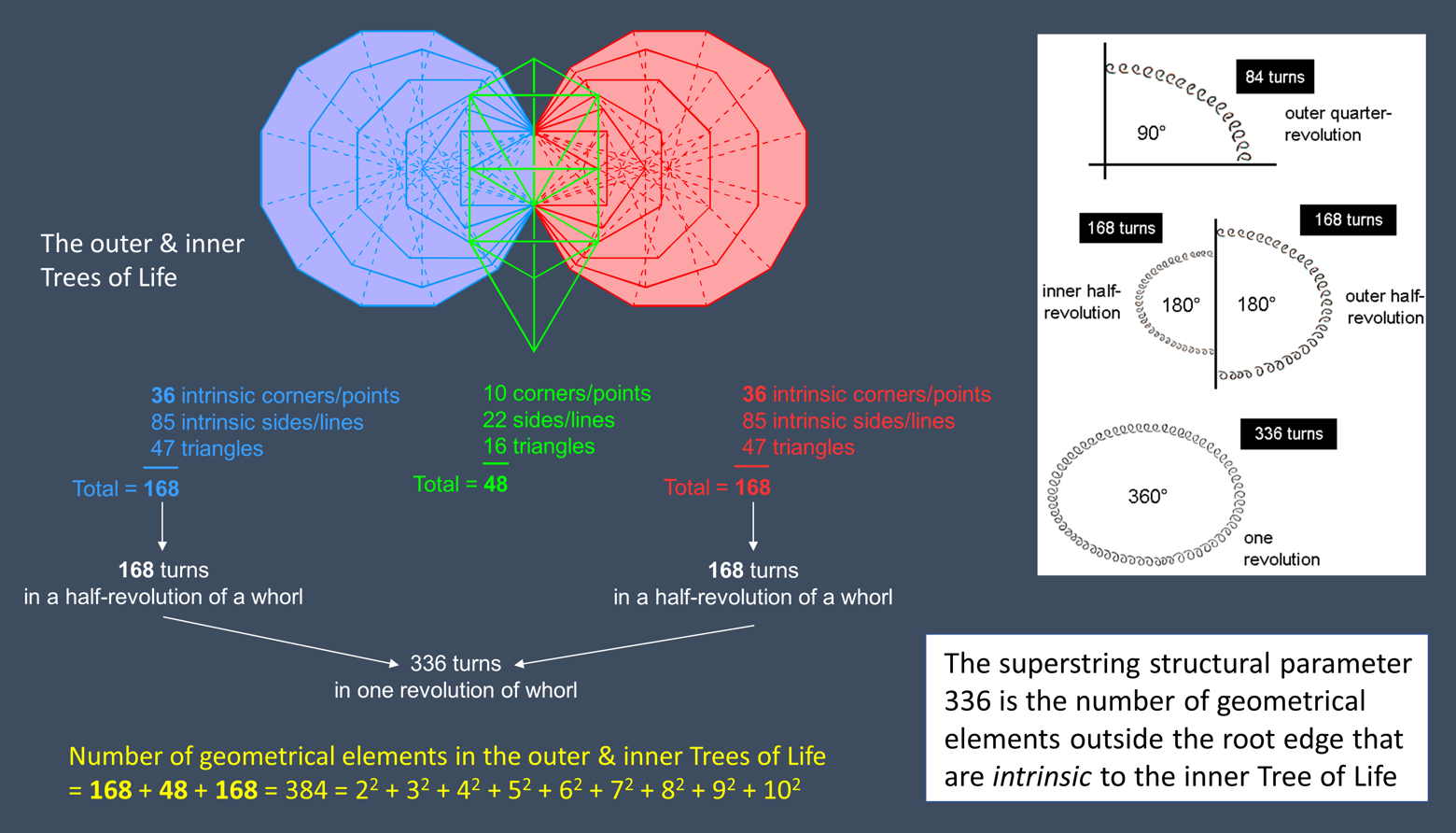 Superstring structural parameter 336 is geometrical parameter of inner Tree of Life 