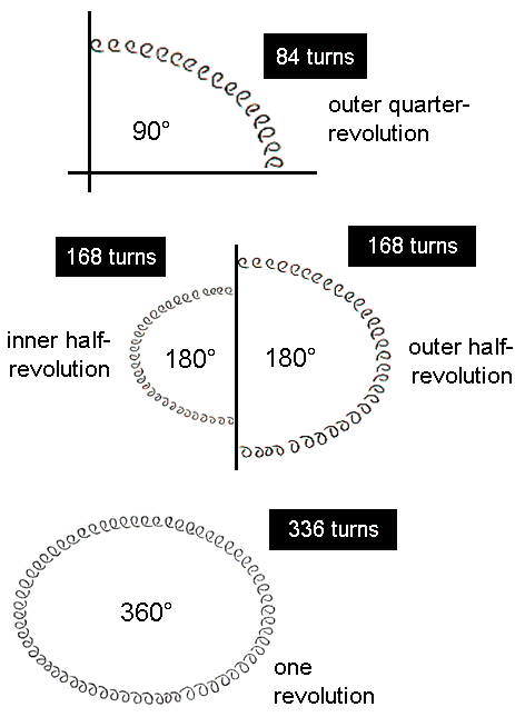 336 turns in one revolution of whorl